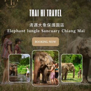 清邁大象保護園 Elephant Jungle Sanctuary Chiangmai