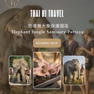 芭達雅大象保護園 Elephant Jungle Sanctuary Pattaya