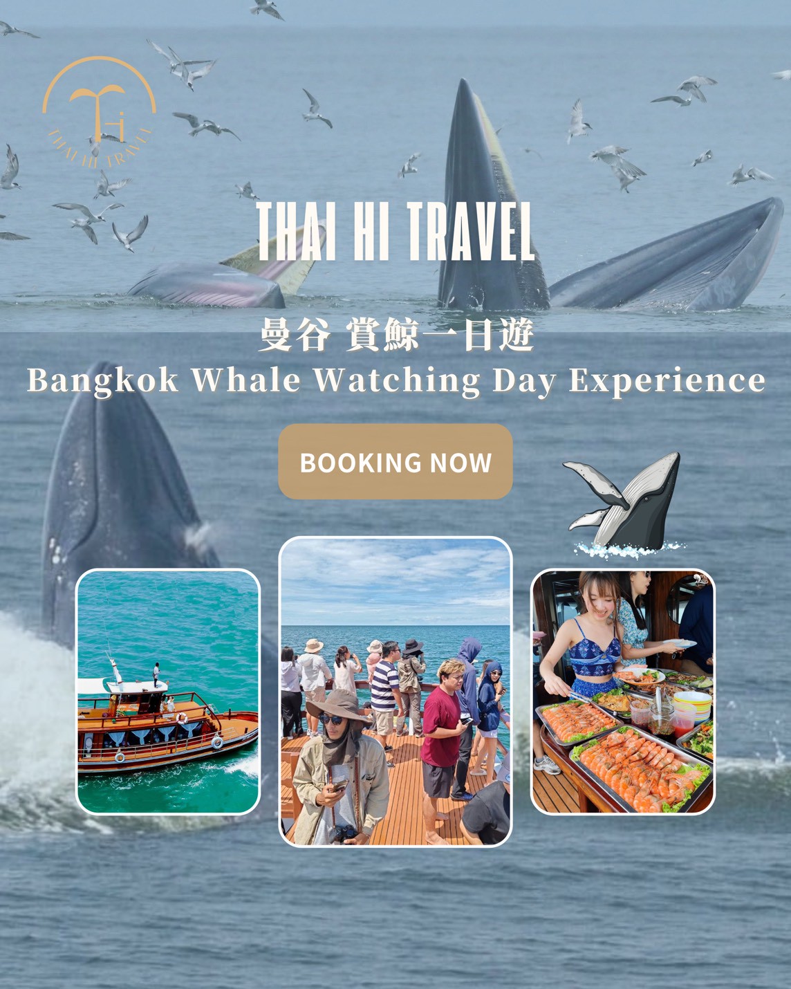 曼谷賞鯨一日遊Bangkok Whale Watching Day Experience - Thaihi 泰嗨旅遊官方網站