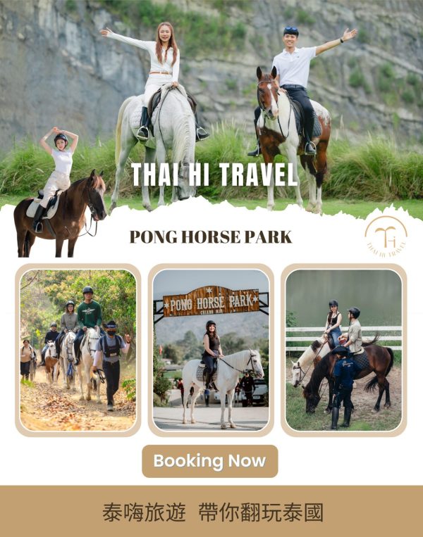 清邁山野騎馬體驗 Pong Horse Park