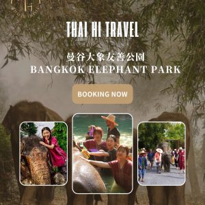 曼谷大象友善公園 Bangkok Elephant Park