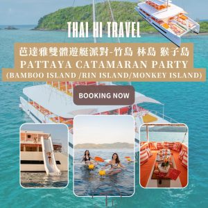 芭達雅雙體遊艇派對 Pattaya Catamaran Party