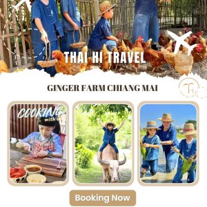 清邁生薑農場 Ginger Farm Chiang Mai