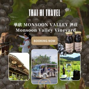 華欣 Monsoon Valley 酒莊 Monsoon Valley Vineyard