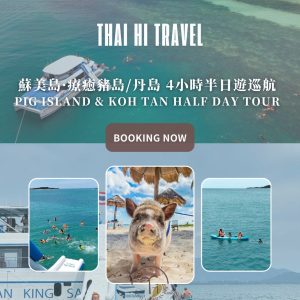 蘇美島．療癒豬島 / 丹島 4 小時半日遊巡航 Pig Island & Koh Tan Half Day Tour